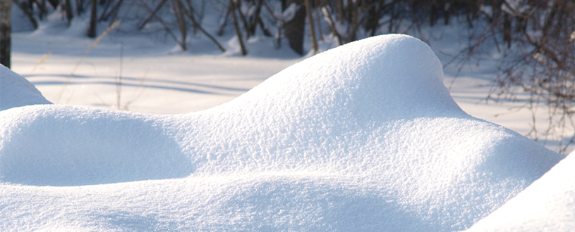 Der Winter kommt bestimmt