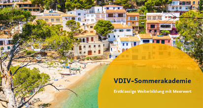 Banner für die VDIV-Sommerakademie Mallorca 2024