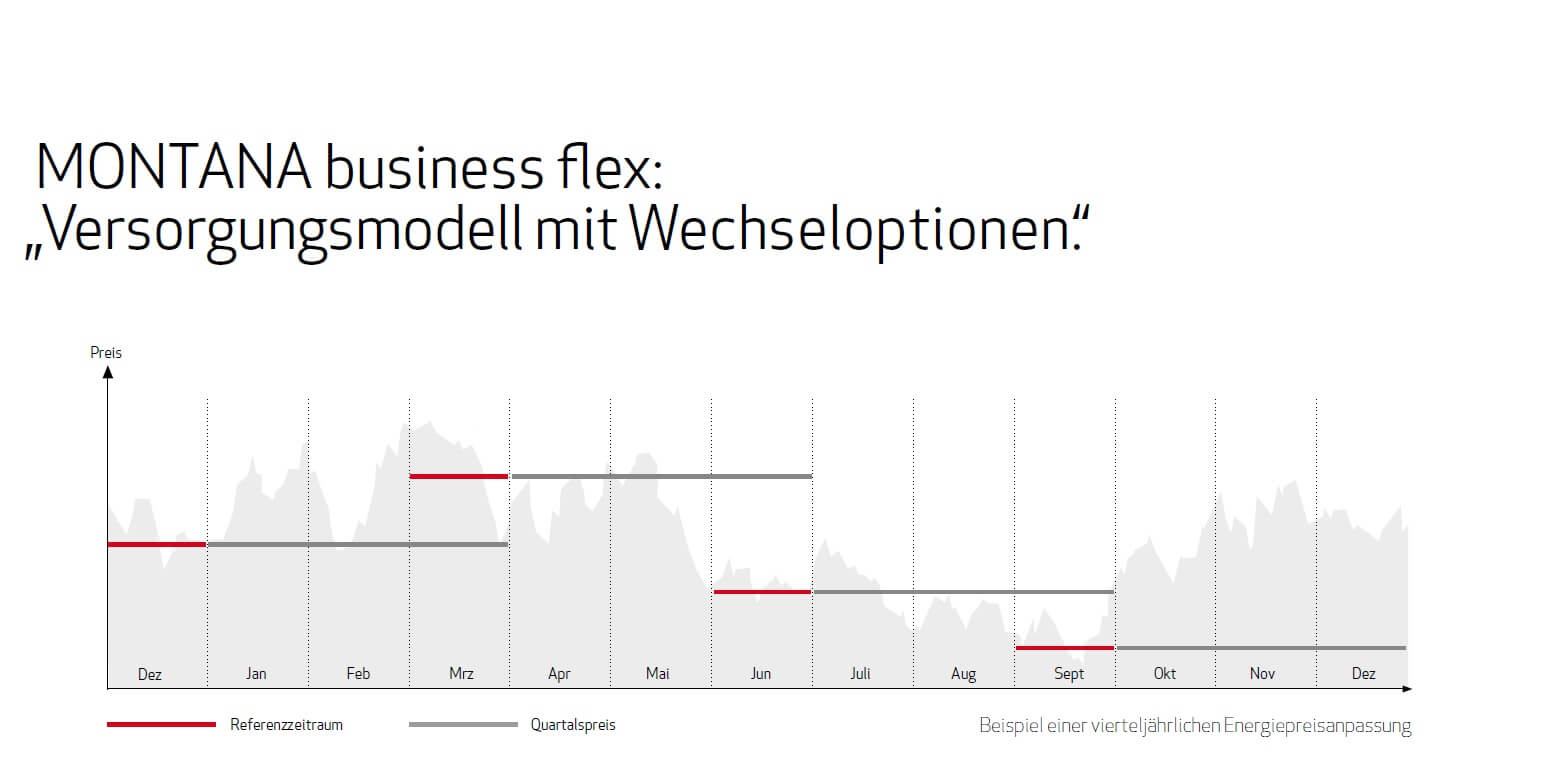 VDIV-Advertorial Montana business flex Versorgungsmodell