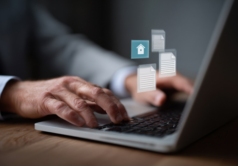 VDIV Newsletter Advertorial - Solid IT