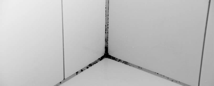 Schimmel im Badezimmer eines Mietobjektes
