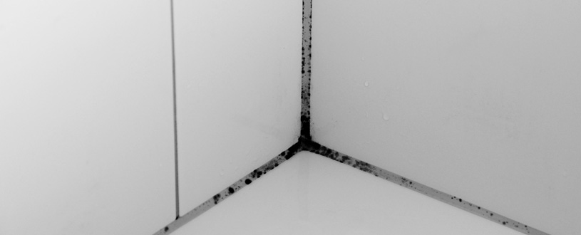 Schimmel im Badezimmer einer WEG-Verwaltung
